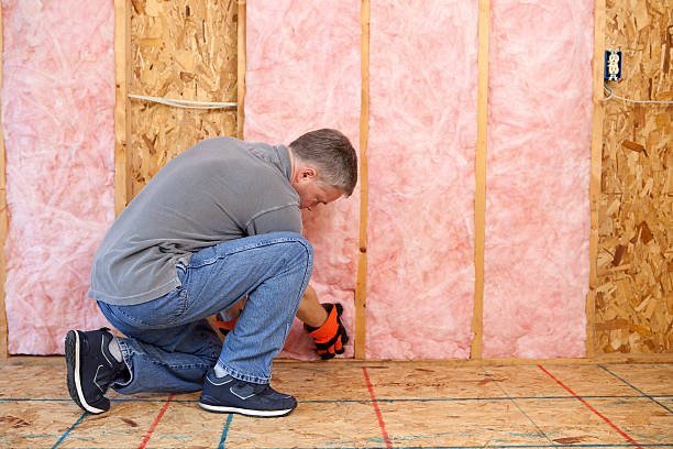 Best Residential Insulation in Clayton, NM