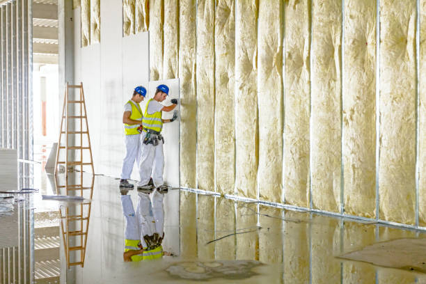 Best Types of Insulation in Clayton, NM